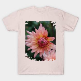 Pink Dahlia T-Shirt